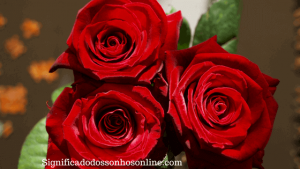 Read more about the article ▷ Sonhar Com Rosas Vermelhas é Mau Presságio?