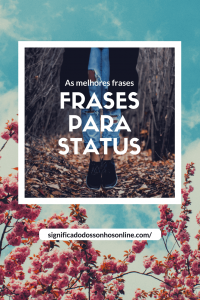 Read more about the article Frases para status