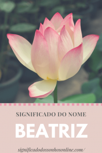 Read more about the article Significado do nome Beatriz