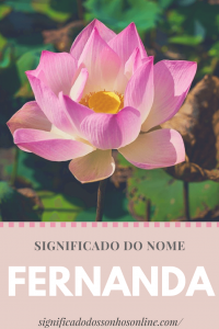 Read more about the article Significado do nome Fernanda