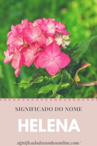 Read more about the article Significado do nome Helena:
