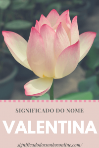 Read more about the article Significado do nome Valentina