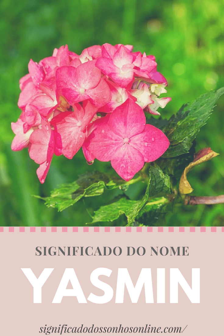 You are currently viewing Significado do nome Yasmin