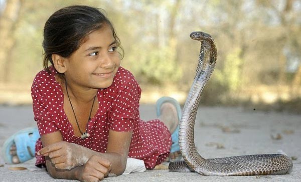 ▷ Sonhar Com Cobra Significa Traição? DESCUBRA AQUI!