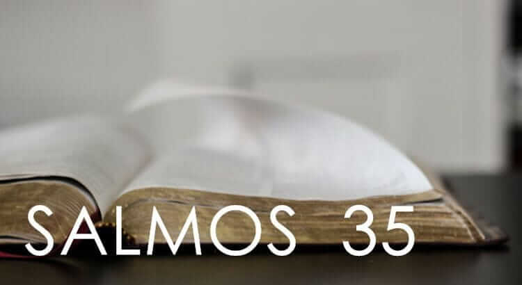 You are currently viewing Salmo 35 – Para se proteger de quem lhe deseja o mal