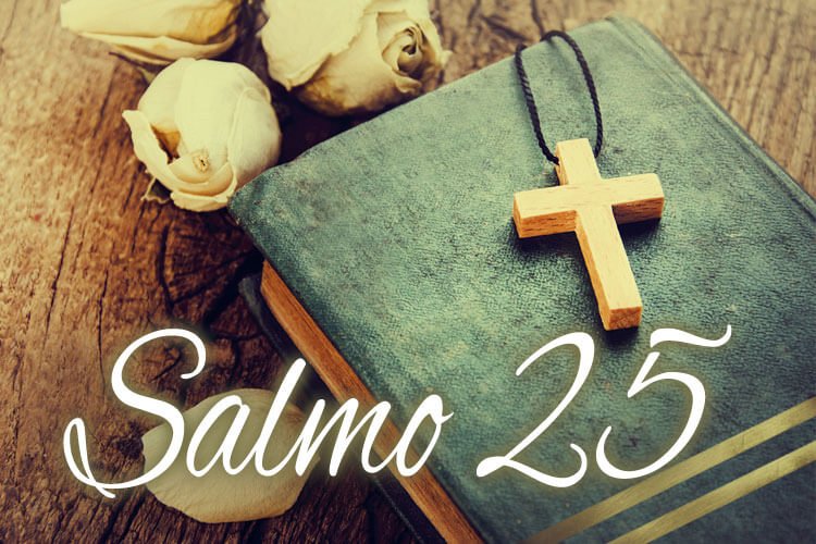 You are currently viewing ▷ Faça Essa Oração do Salmo 25 Para Receber Ajuda De Deus Hoje