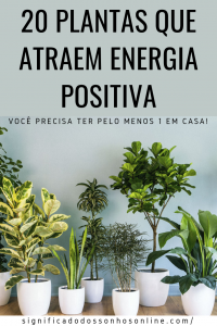 Read more about the article 20 Plantas Que Atraem Energia Positiva – Você Precisa Ter Pelo Menos 1 Em Casa!