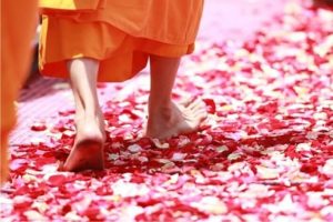 Read more about the article As Cinco Regras Da Felicidade, De Acordo Com o Budismo