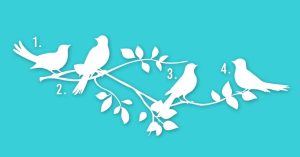 Read more about the article Escolha Um Pássaro e Descubra Qual é o Seu Propósito Na Vida