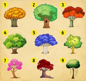 Read more about the article Escolha uma árvore e descubra o que mudará em sua vida em breve!