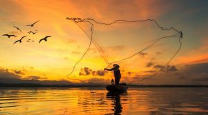 Read more about the article ▷ Sonhar Pescando (Não Se Assuste Com o Significado)