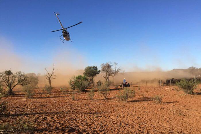 Sonhar com helicóptero caindo: o que isso significa?