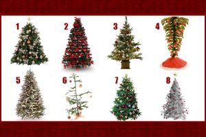 Read more about the article Escolha uma árvore de Natal e descubra como será o seu final de ano
