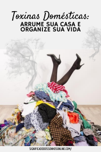 Read more about the article Toxinas domésticas: Arrume sua casa e organize sua vida